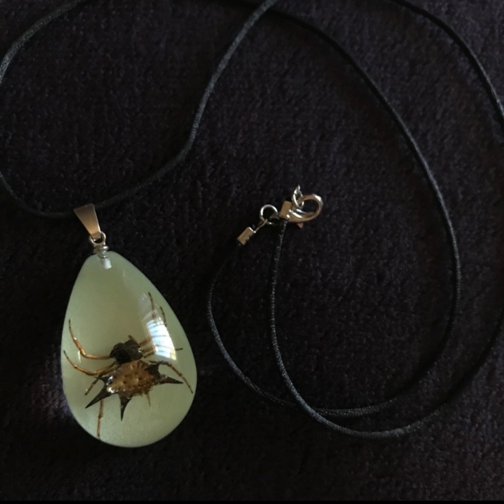 Encased spider necklace